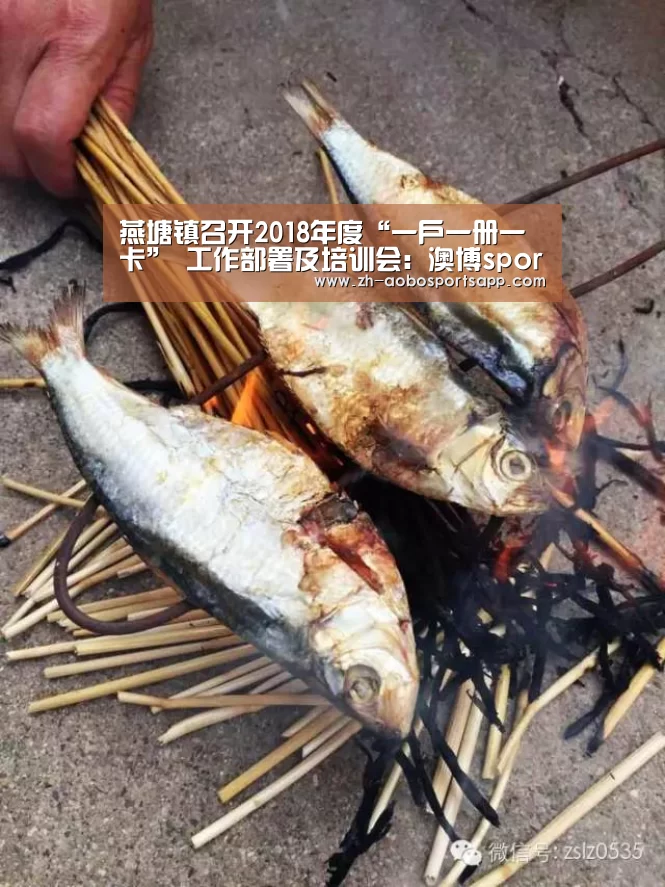 燕塘镇召开2018年度“一户一册一卡” 工作部署及培训会:澳博sportsapp(图2) 澳博sportsapp
