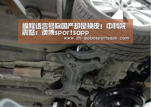 编程语言号称国产却是换皮!中科院震怒:澳博sportsapp(图3) 澳博sportsapp