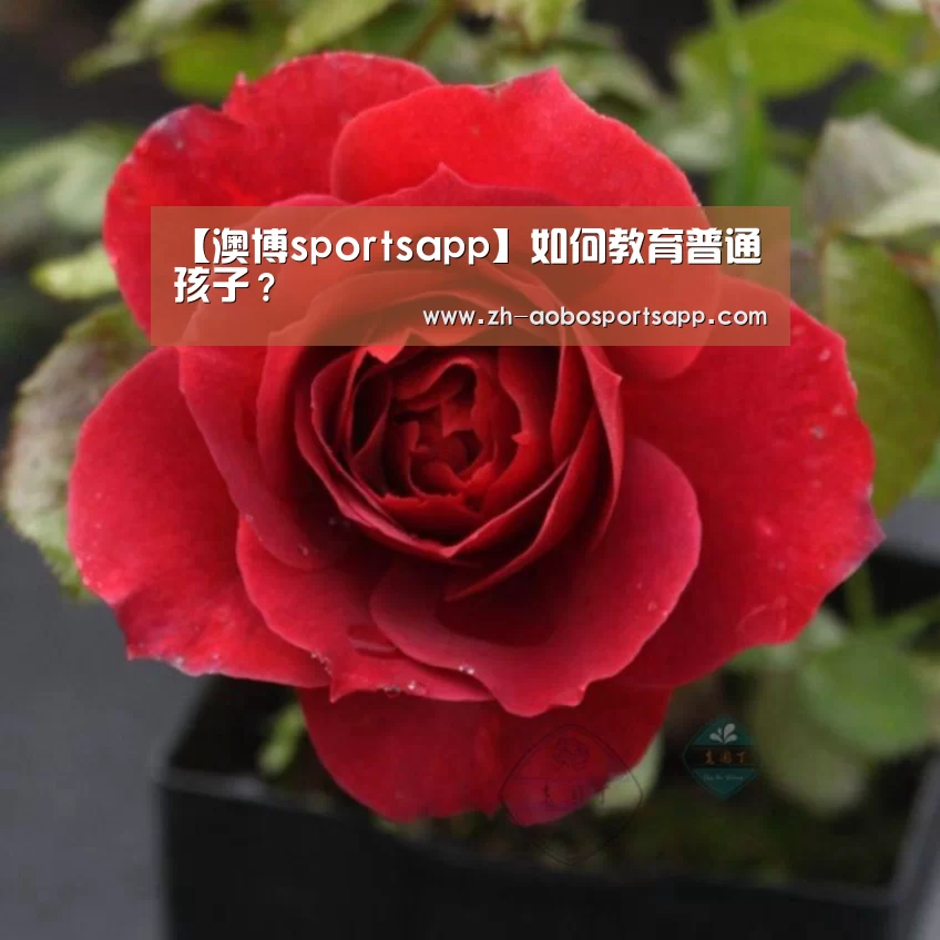 澳博sportsapp