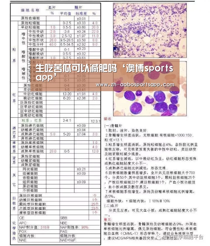 澳博sportsapp